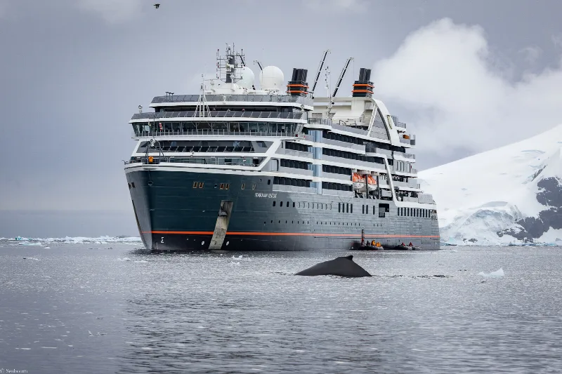 Das Expeditionsschiff Seabourn Venture in der Antarktis, davor taucht ein Buckelwal auf