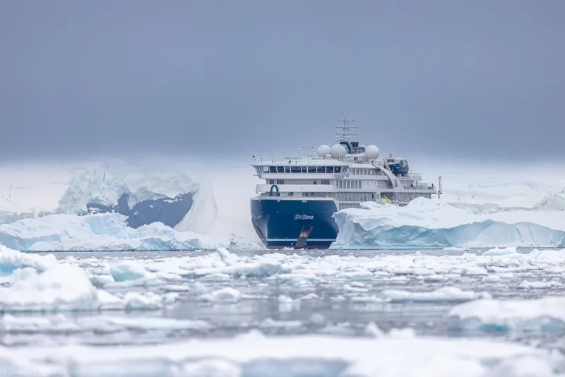 Die SH Diana von Swan Hellenic zwischen Eisbergen in der Antarktis