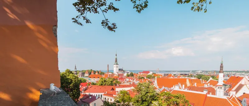 Blick über die roten Dächer der Altstadt von Tallinn